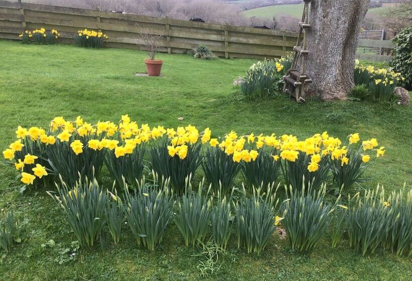 Cozy Camborne Studio Retreat With Two Single Beds