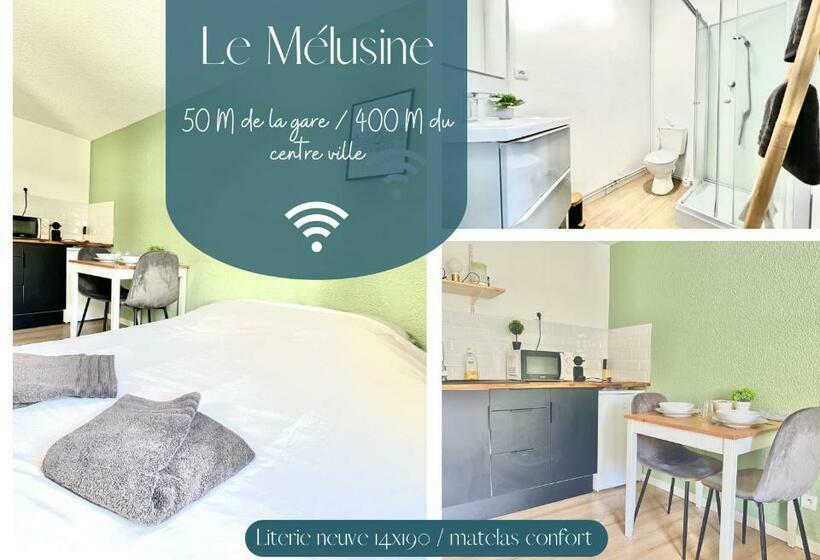 Le Mélusine , à 50m De La Gare De Poitiers