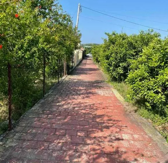 Villa Nilić