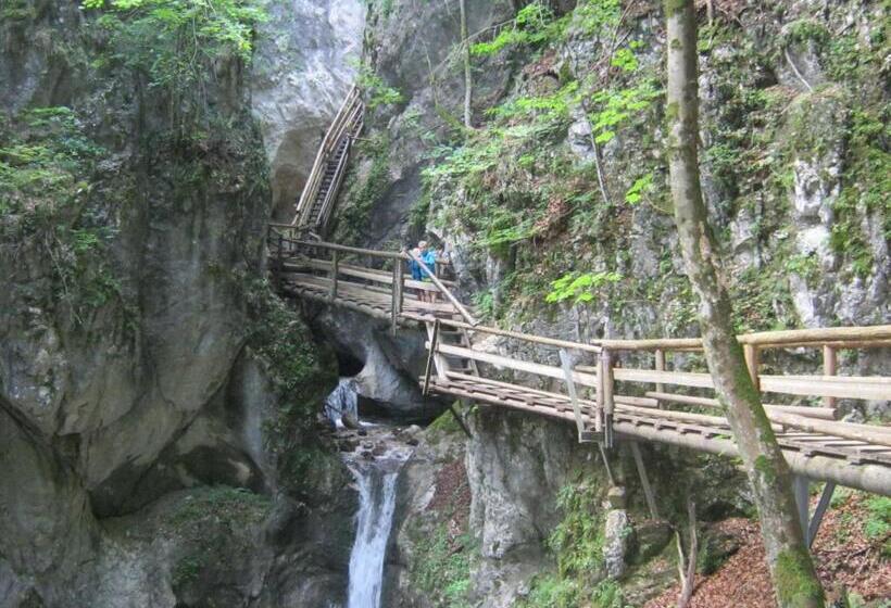 Bio Urlaubshof Dansbach