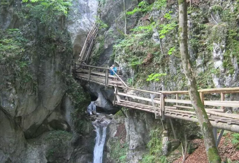 Bio Urlaubshof Dansbach