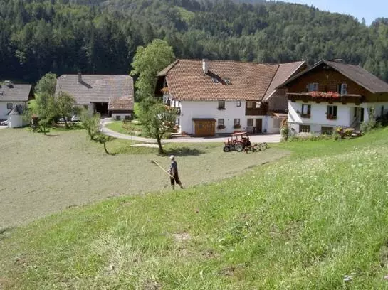 호텔 Wohlfühlbauernhof Bambichlhof