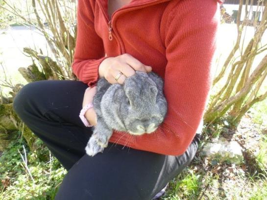 فندق Wohlfühlbauernhof Bambichlhof