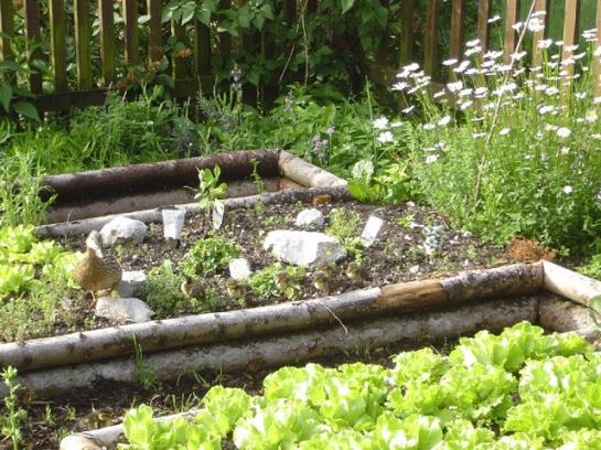 فندق Wohlfühlbauernhof Bambichlhof