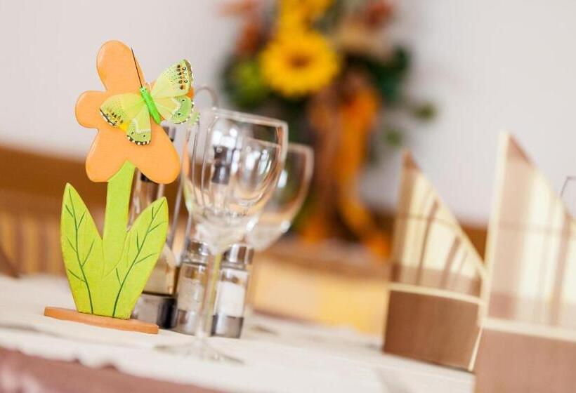 Отель Gasthof Steg