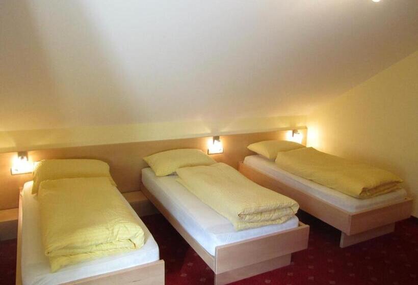 Отель Gasthof Steg