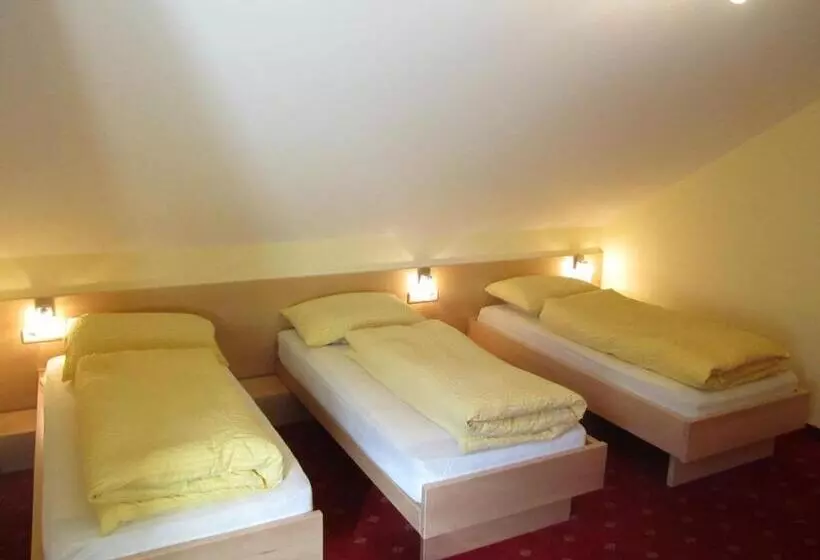 Hotelli Gasthof Steg