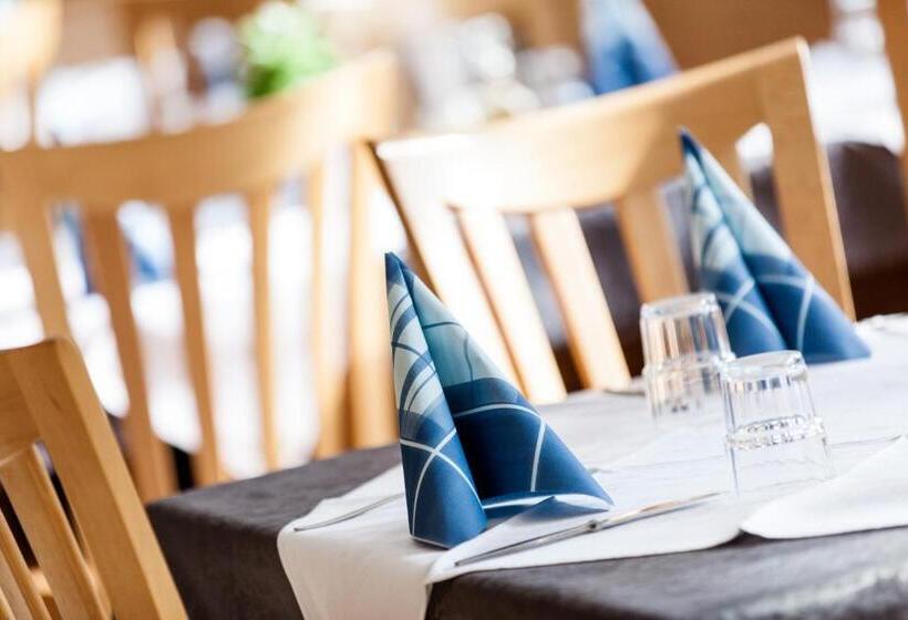 Отель Gasthof Steg