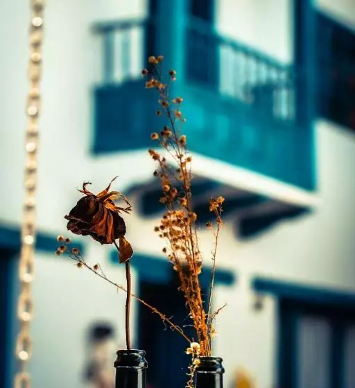 Alojamiento Entero Turquesa Hostal Boutique