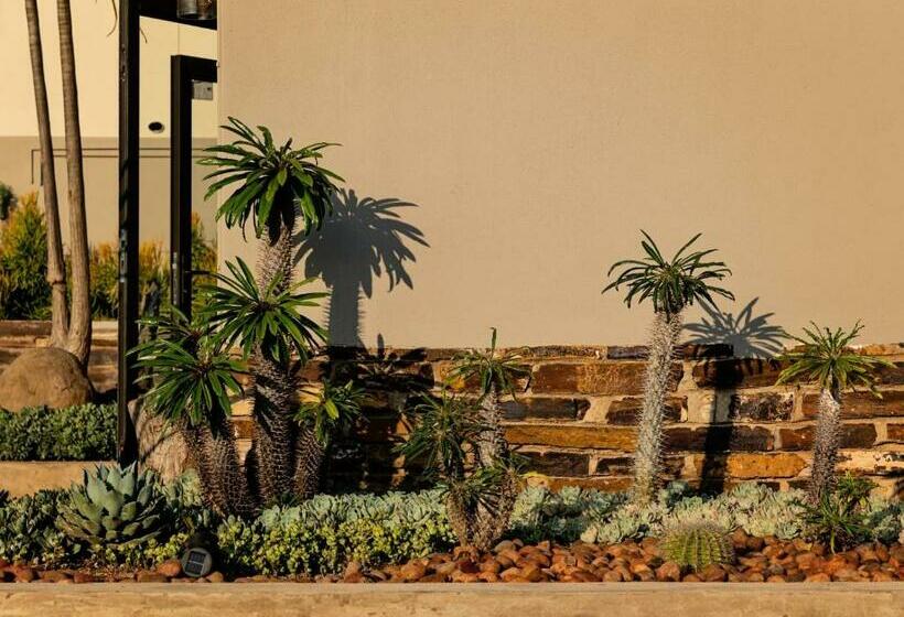 Guest Room At Joubert