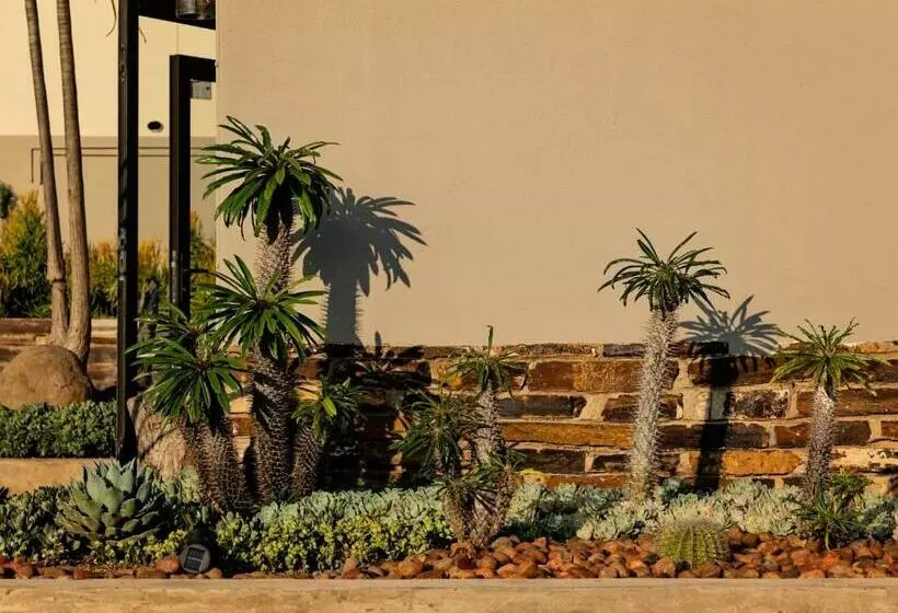 Guest Room At Joubert