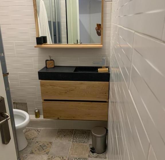 Les Dahlias Appartement 4 Personnes Jacuzzi Barbecue Jardin Arboré Climatisé