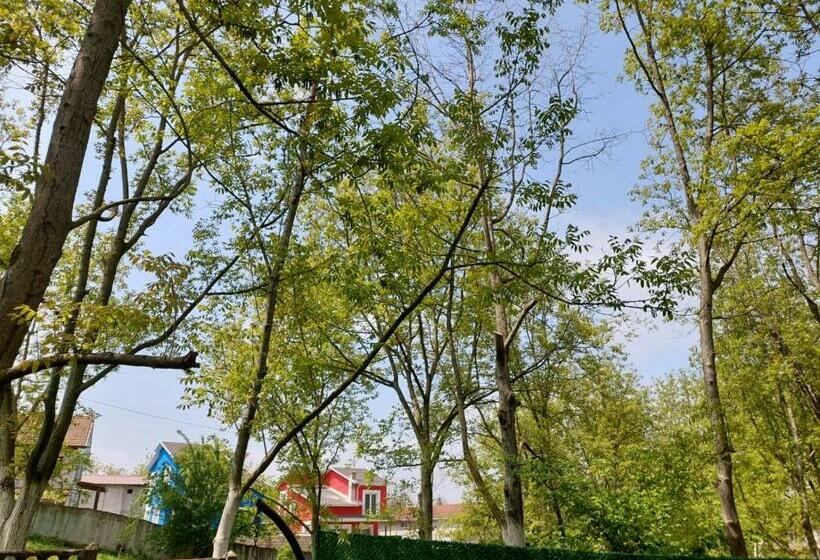 Villa Cevizli Bahçe Sapanca