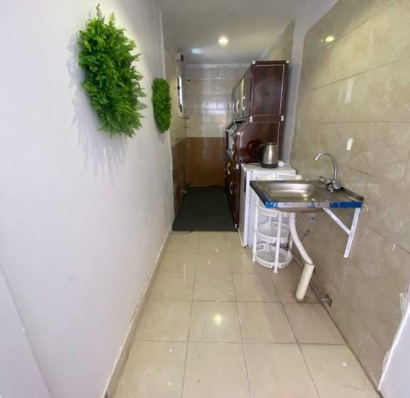 الشقق الاقتصادية