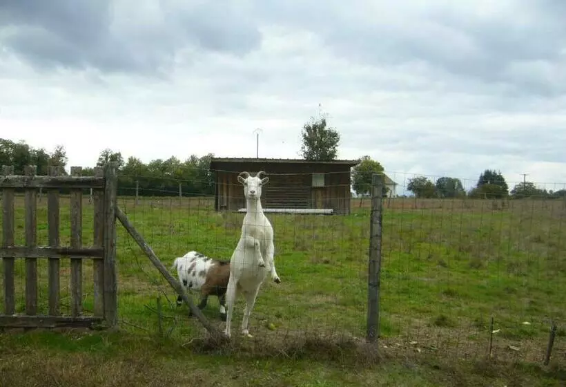 Appartement Le Domaine Des Libellules Proche Walibi