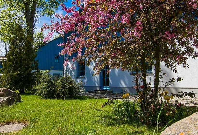 Ferienanlage Kap Arkona   App 7