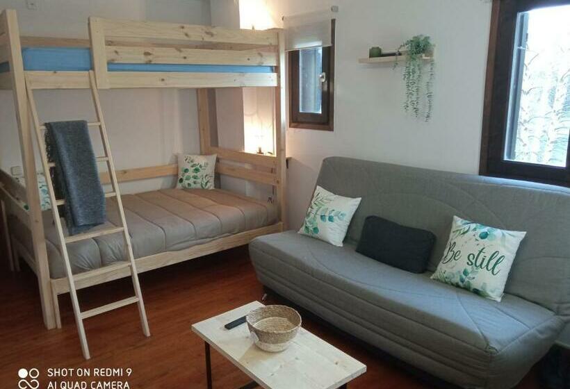 Estudio Las Perseidas   Vall De Boí