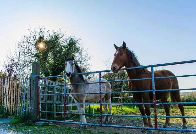 The Heights & Hollows Farmhouse, Saul, Downpatrick, Sleeps 14