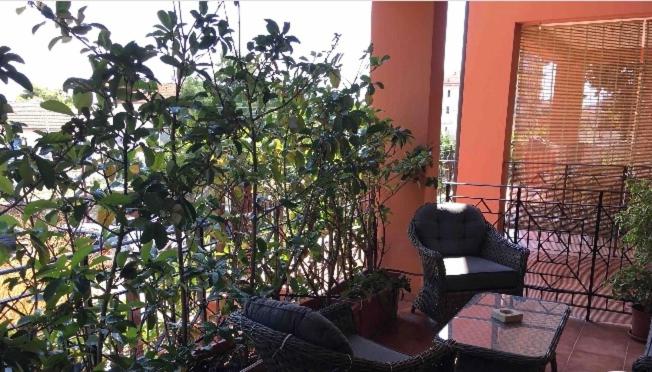 Appartamento ‘il Fiordaliso’