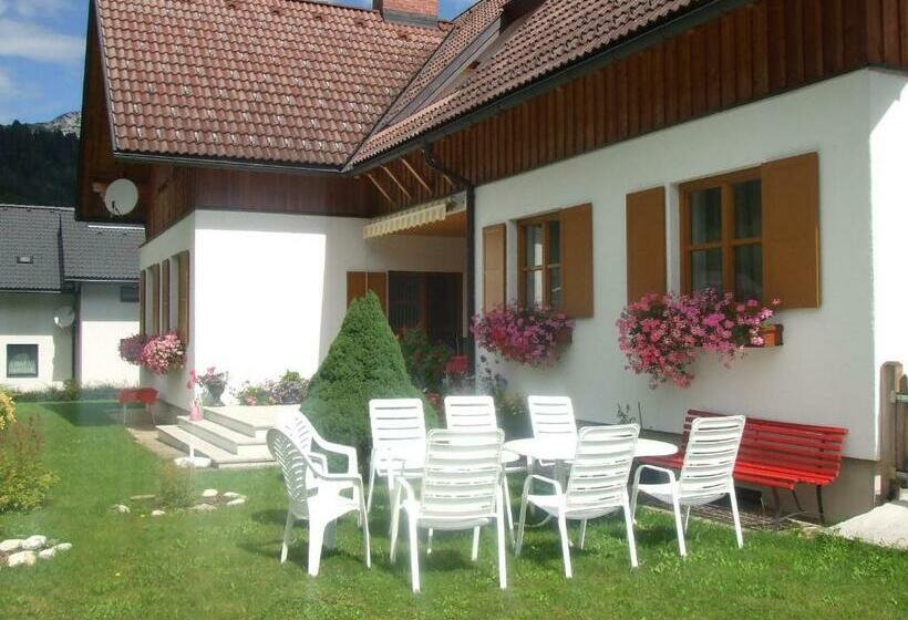 Appartement Pölzl öblarn Region Schladming Dachstein