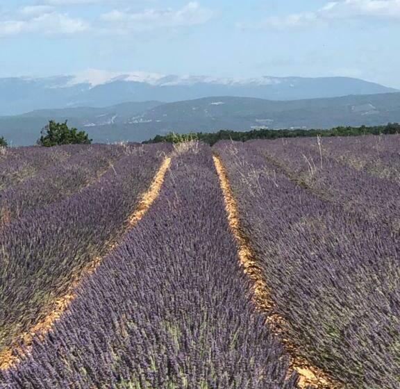 Echappee En Provence