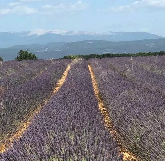 Echappee En Provence