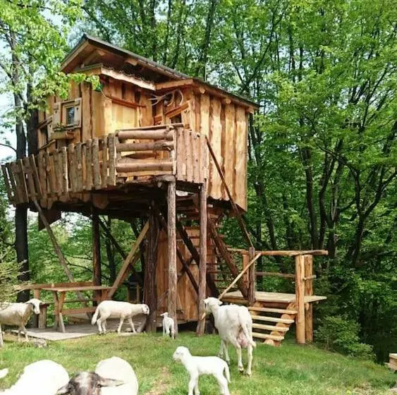 Treehouse Toplak