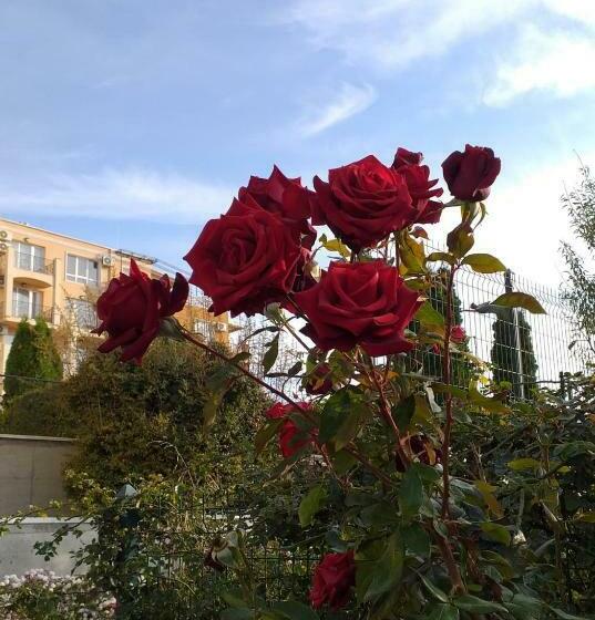 морски апартамент вили