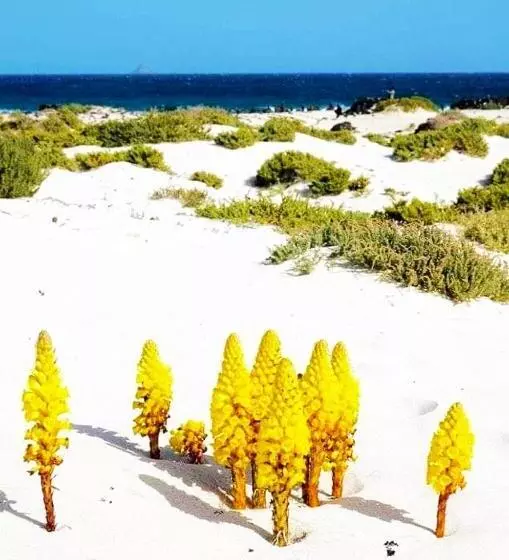 Apartment Vincent, Cozy And Sunny Over The Rooftops