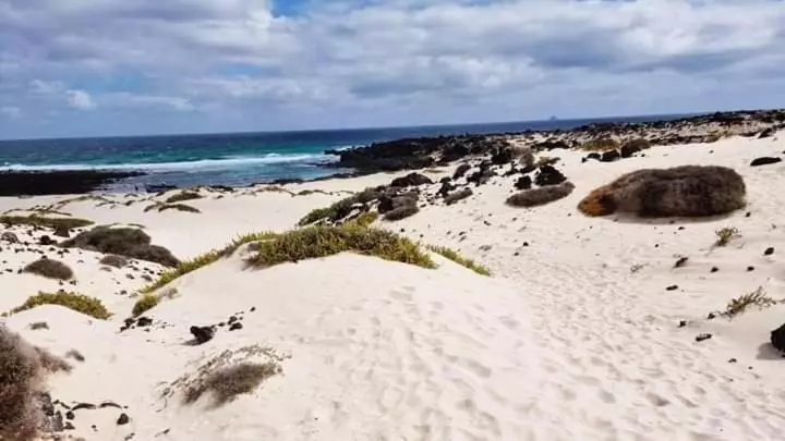 Apartment Vincent, Cozy And Sunny Over The Rooftops