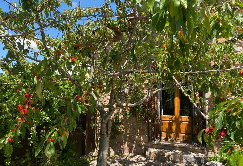 Era De Trespui En Pirineos