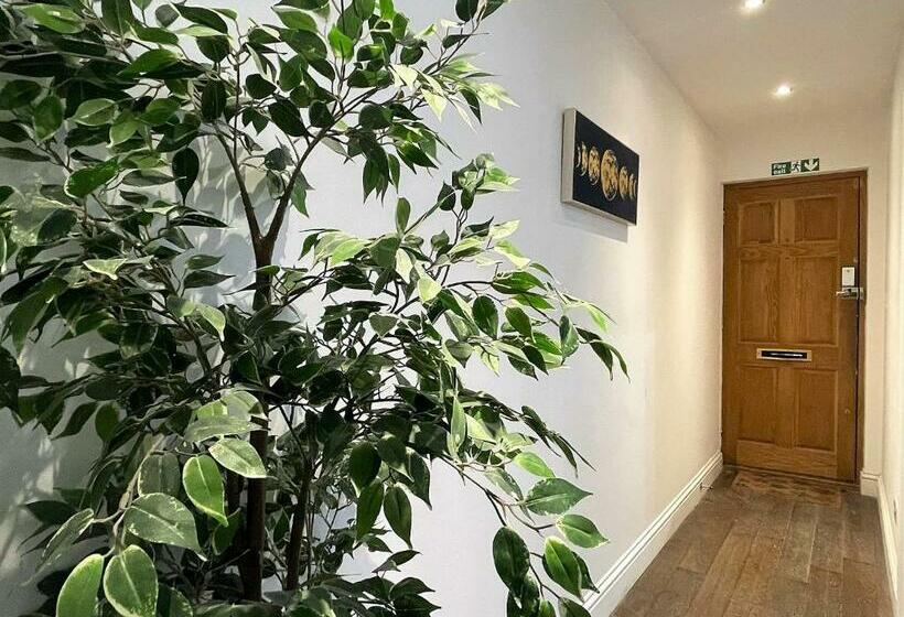 Montpelier House I Sleep 6 16 I Mins Away From Brighton Beach I 6 Bedrooms