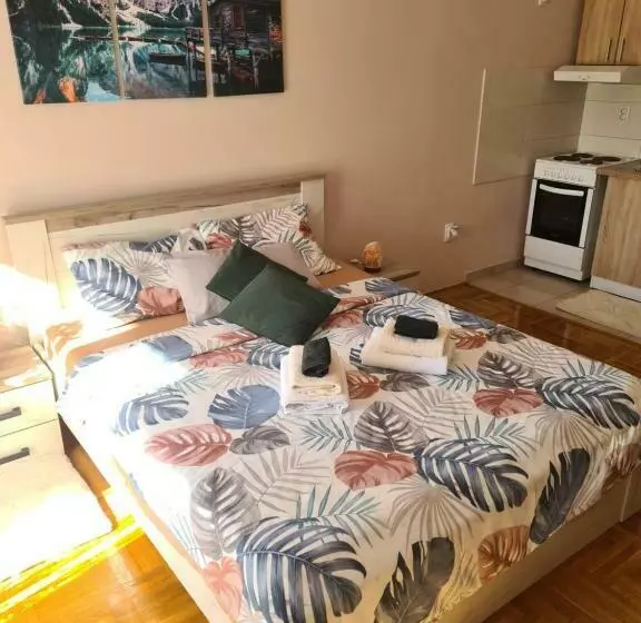D&n Apartman Studio