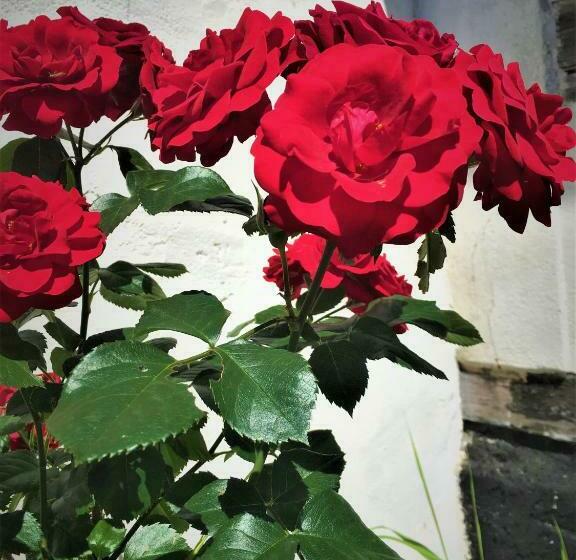 Fischerhaus Godewind 60 Qm