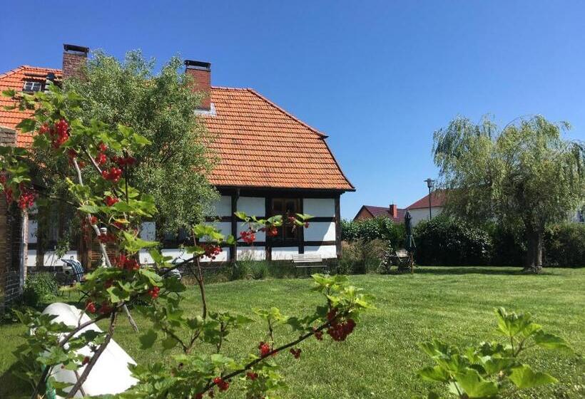 Fischerhaus Godewind 60 Qm