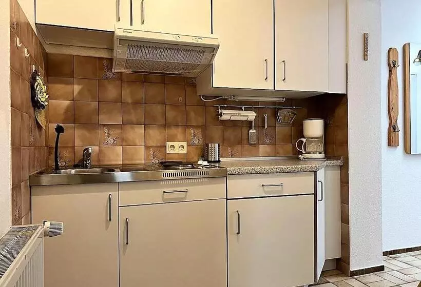 Haus Waldluft Whg. Birke