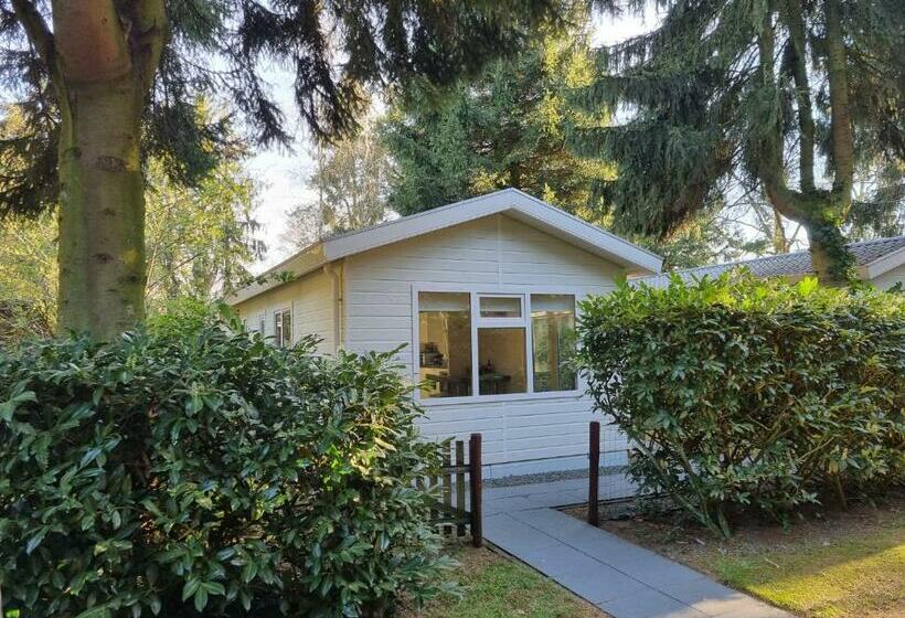 Ruim En Fris Chalet Aan De Bosrand