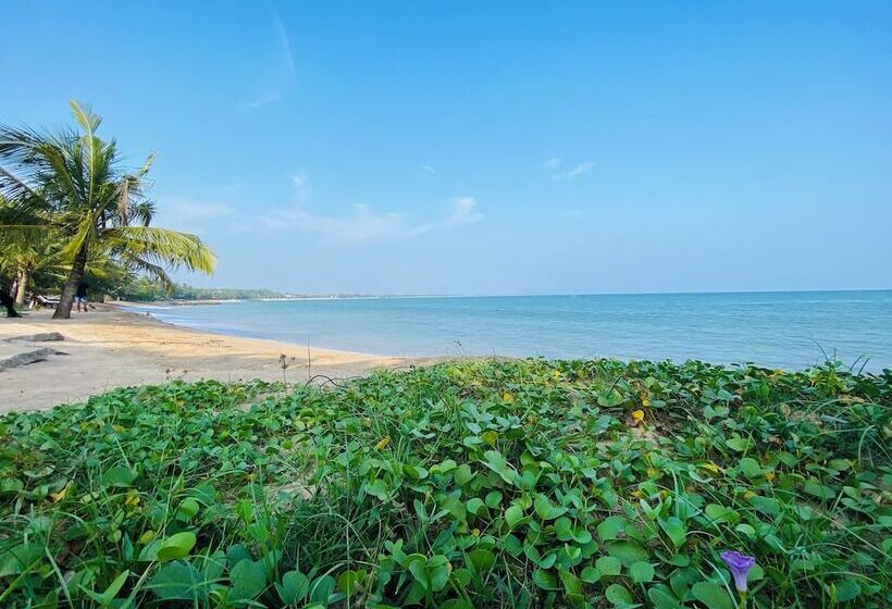 Thaprobana Villa Tangalle   Private Villa