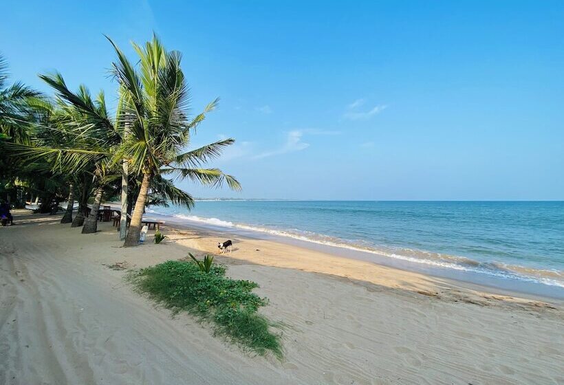 Thaprobana Villa Tangalle   Private Villa