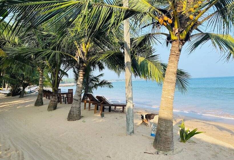 Thaprobana Villa Tangalle   Private Villa