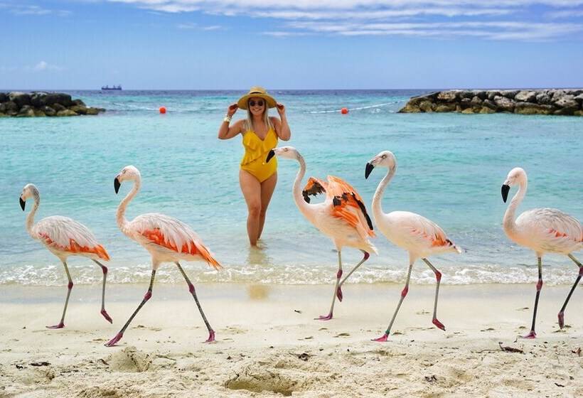 New Listing Stunning Island Getaway With Pool!