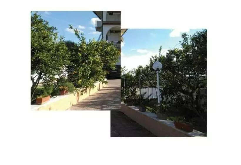 Nido Verde