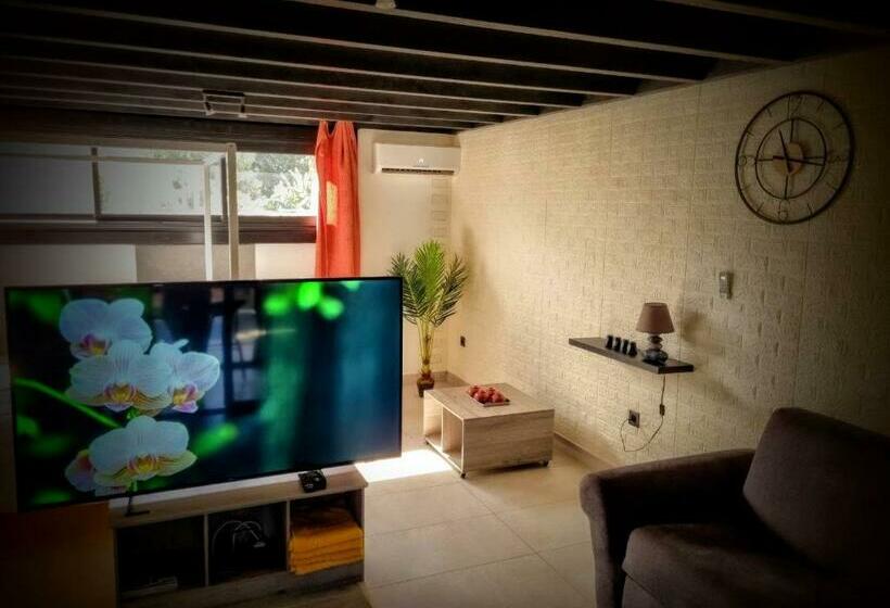 2 Charmants Lofts Avec Piscine