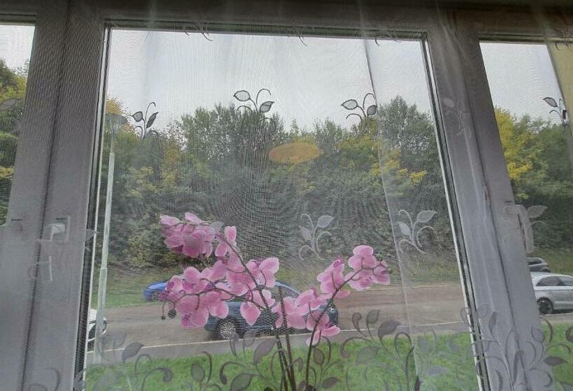 Two Bedroom Apartment Near Triberg Waterfall