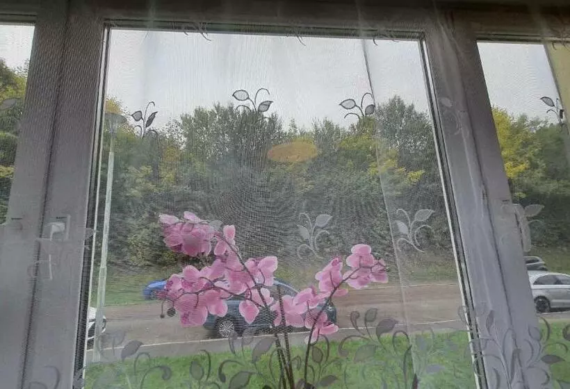 Two Bedroom Apartment Near Triberg Waterfall