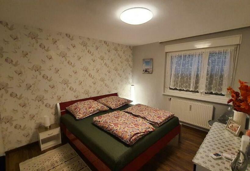 Two Bedroom Apartment Near Triberg Waterfall