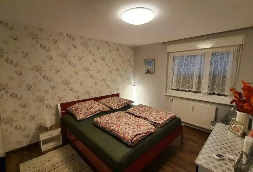 Two Bedroom Apartment Near Triberg Waterfall