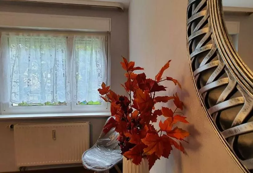 Two Bedroom Apartment Near Triberg Waterfall