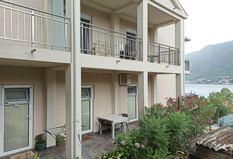 Java Apartments   S & J