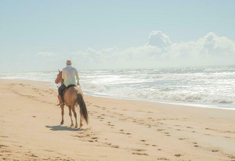 Kaza Mazamore   Entire Luxurious Vila In Itaunas